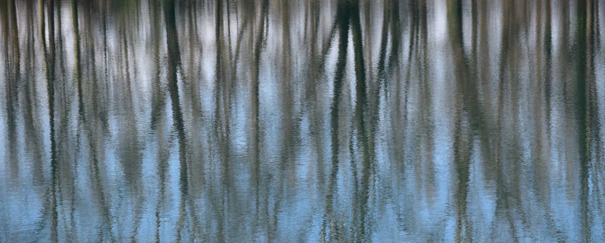 Kathleen Thunberg, LICSW